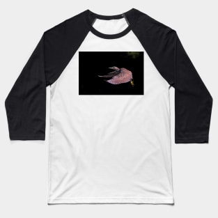 Juvenile Black-crowned Night Heron Baseball T-Shirt